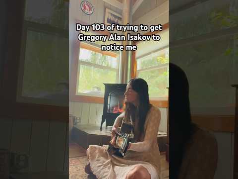 the stable song by gregory alan isakov #relatablecontent #singersongwriter #cover #coversong #foru