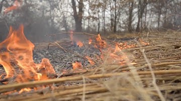 Rich Man Plot vs Poor Man Plot    Part 1