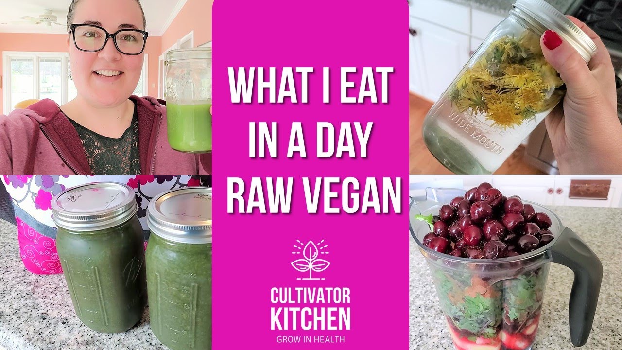 Raw Vegan Road Trip! Everything I Eat in a Day While Traveling