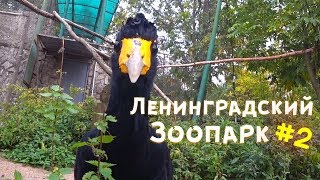 Места Петербурга. Ленинградский зоопарк. Продолжение. Места Петербурга. Ленинградский зоопарк. Продолжение.