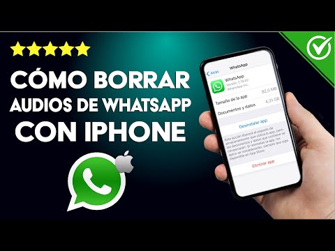 ¿Cómo borrar tus audios de WHATSAPP con mi iPhone? - Método fácil