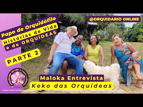 Parte 2 Maloka