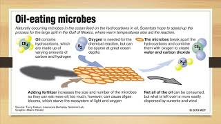 Biotechnology in Microbial Ecology (part 2) by Irwan's Work Channel 343 views 2 years ago 13 minutes, 31 seconds