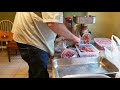 Raw meat fed Great Danes! How we prepare and grind our raw dog food with a Weston #22 grinder!