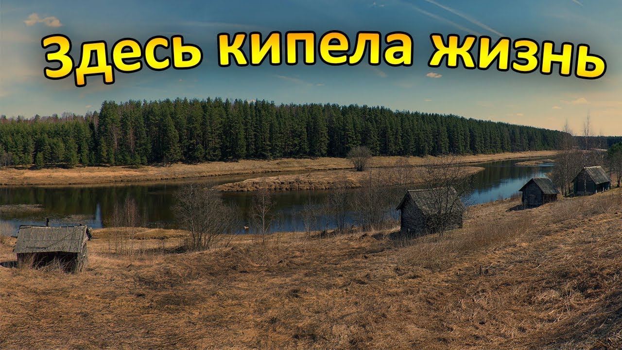 Кипишь здесь. Деревня жизнь кипит. Жизнь кипит.