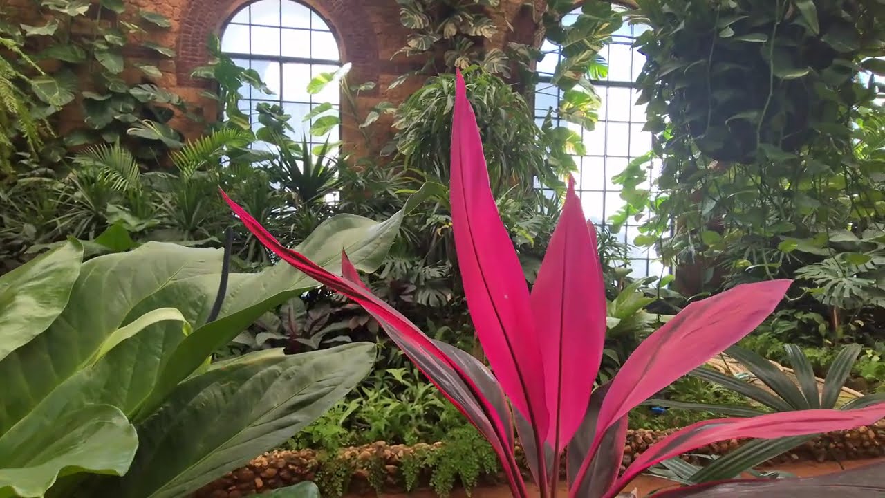 Amazing green house in Montaza Palace in Alexandria!