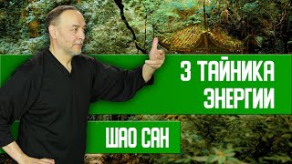 Дотянуться И Ухватить За Хвост Ускользающую Энергию | Шао Сан