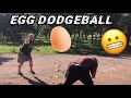 Egg dodgeball | Overload | Ep.8