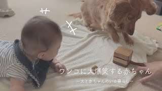 どっちも可愛いすぎてずっと見てられる動画