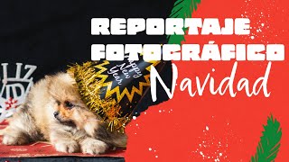 ¡FELIZ NAVIDAD! | Centro Canino Las Almenas by Centro Canino Las Almenas 161 views 5 months ago 1 minute