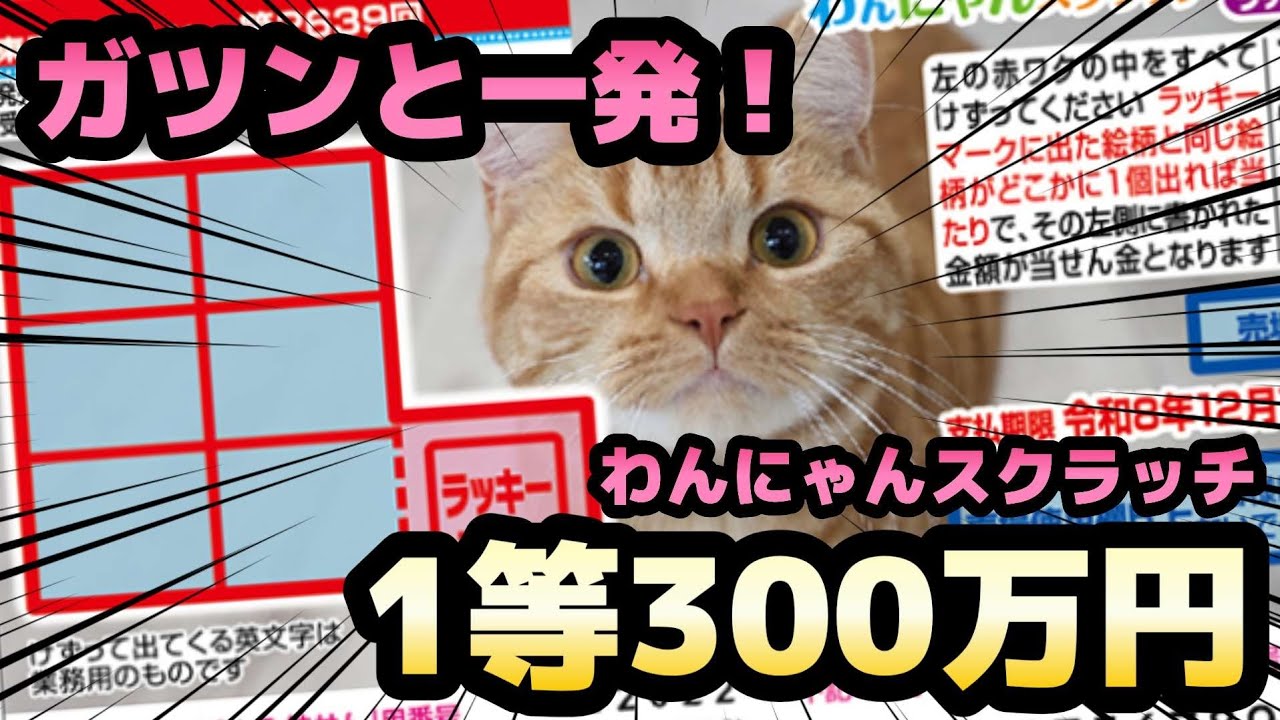 【衝撃】1等300万円！気合で削っていく「わんにゃんスクラッチ ラッキートライアル」宝くじ.高額当選を引き寄せろ！