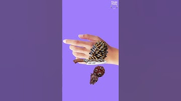 Hand cleaning and treatment asmr animation ||😮‍💨🪄 #asmr #animation #fyp #vairal #shorts #trending