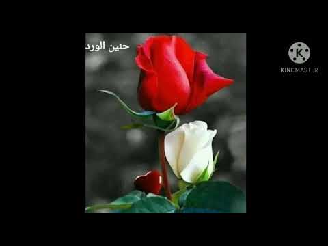 كل يوم بينك وبيني