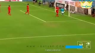 20 Goals If they were not filmed, nobody would believe them
