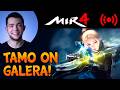 LANÇOU NOVO SERVER BOOST DO MIR4, DALEH! [SERVIDOR BSA41]!
