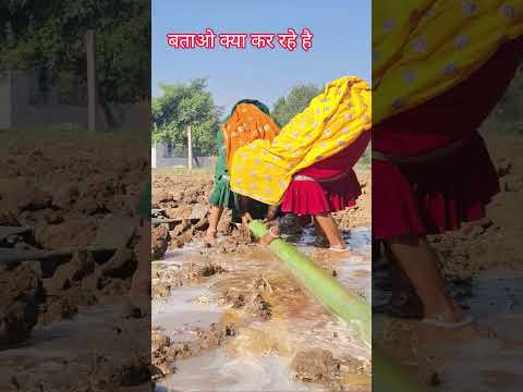 बताओ क्या कर रहे है 😂 #mohitmoonpur #comedy #newमारवाड़ीcomedy #shortsfeed #funny#shortvideo