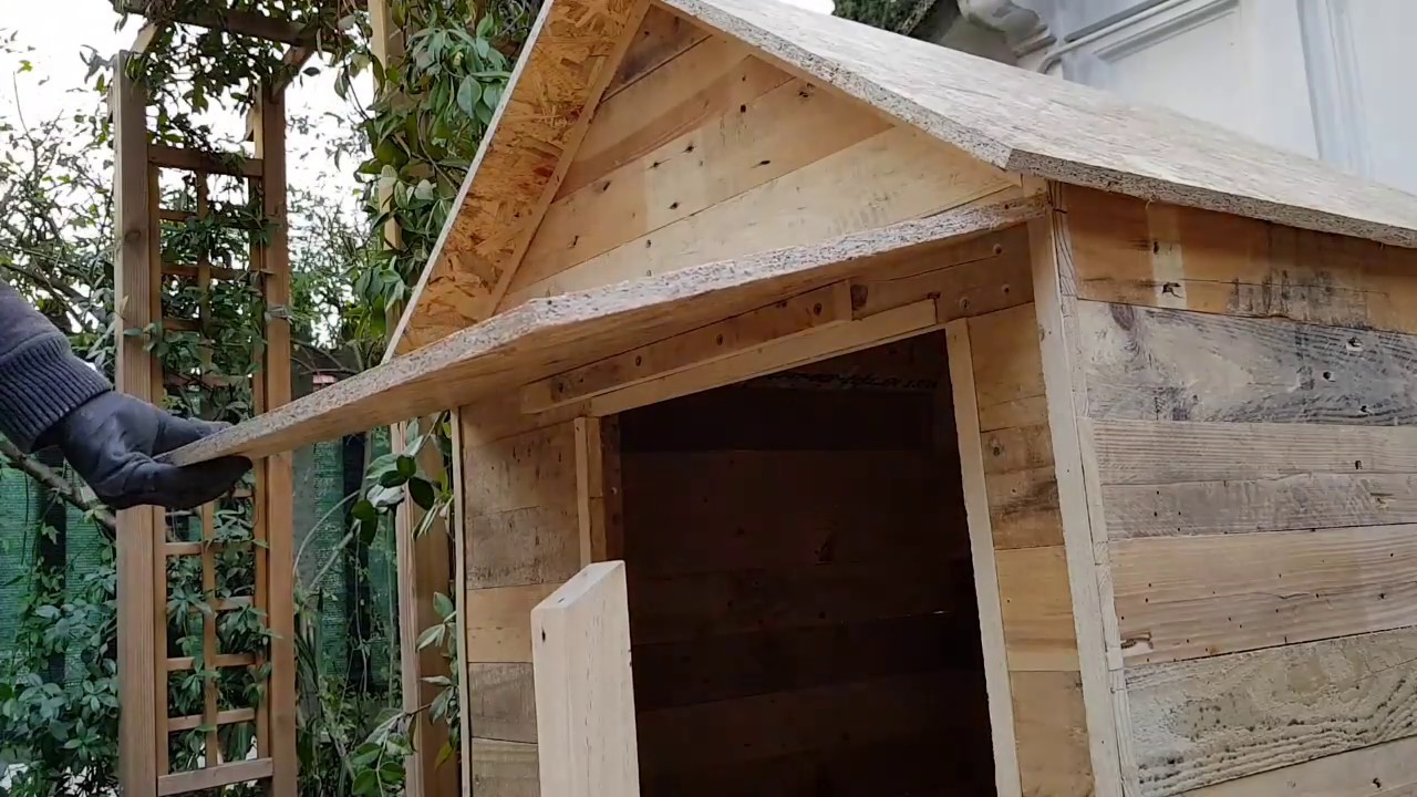 Come fare una cuccia per cani fai da te con i bancali - DIY a Dog House  with recycled pallet - YouTube