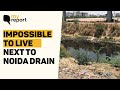 'Foul Smell, Poisonous Emissions – Noida's Drain Has Added to Our Misery' | The Quint