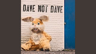 Video thumbnail of "Dave Not Dave - Cold Blood"