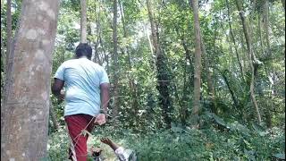 Thuddakkk oru coinflip part 3