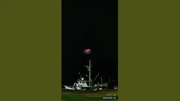 It Silently Came Out Of The Water On The Innisfail Esplanade Qld 