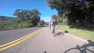 Polli Veloce Ride Bills Rv 21415