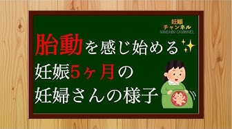 妊娠5ヶ月 Youtube 妊娠5ヶ月 Youtube