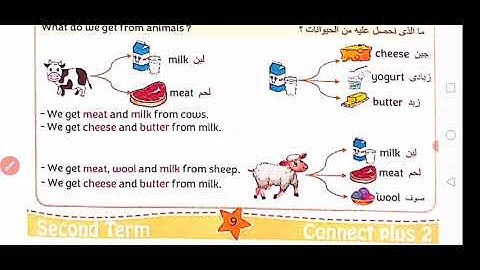 كونكت بلس 2 للصف الثاني الترم الثاني Connect Plus 2 Unit 7 Lesson 1 Where 2023﻿ What do we get from