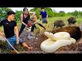Full Video: 72 Hours of Terror: GIANT ALBINO PYTHON ERUPTS From The Ground – Wild Boars Run in Panic