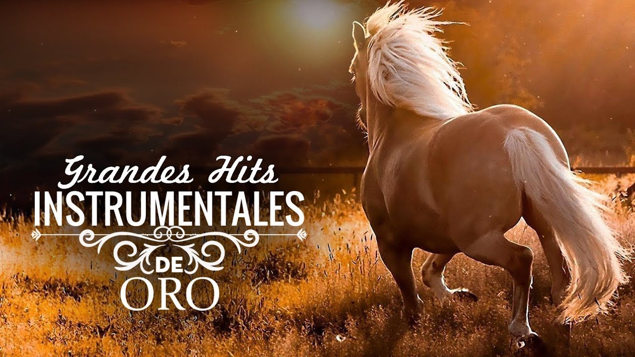 MÚSICA QUE YA NO SE OYE EN LAS RADIOS - 100 Grandes Hits Instrumentales ...
