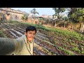 Aalu me paani pata diya #vlog #ganvkilifestyle #villagevlog #aalukikheti #villagerlifestyle