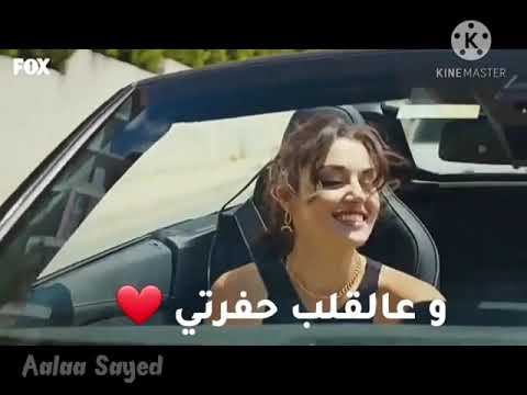 علي الديك يا صغيرة كبرتي اجمل حالات واتس حب مع الكلمات 2021
