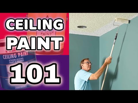 CEILING PAINT GUIDE | What Makes It Different From Wall Paint? | How to Choose Paint