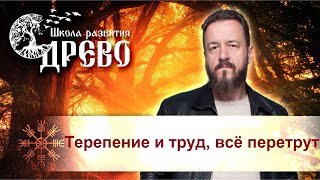 Терпение и труд, всё перетрут