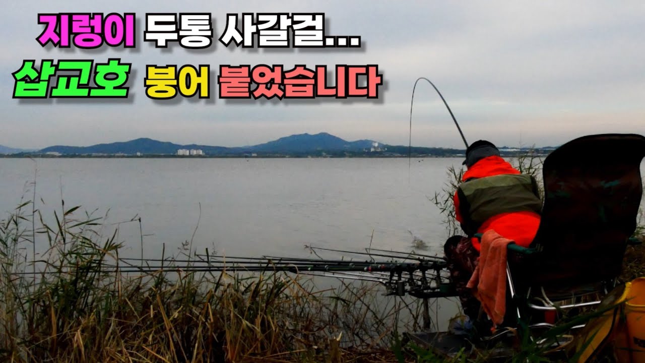 지렁이 두통 사갈걸...삽교호 운정리 양수장 붕어 붙었습니다!! 삽교 본류 마릿수 붕어낚시