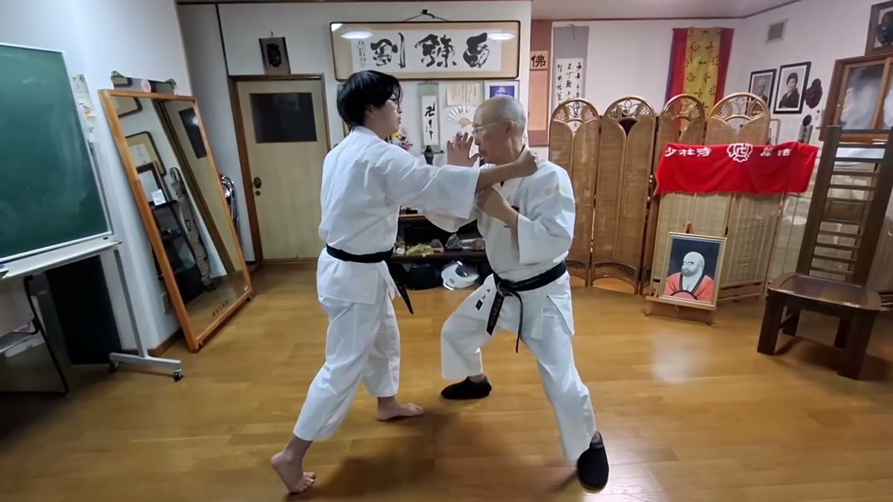 4. Бякуренкен Цубамэ Гаеши (Сёриндзи Кэмпо)