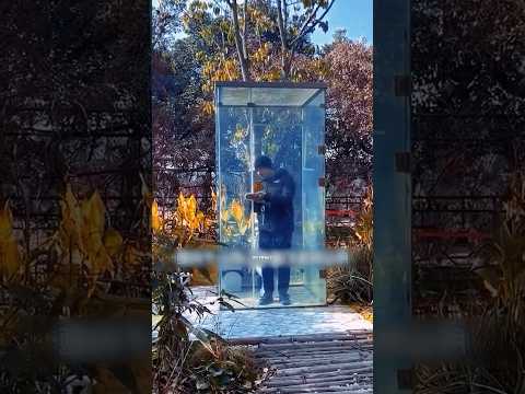 😱Ходят в туалет перед прохожими