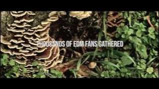 FUN IN THE SUN FESTIVAL - FEBRUARY 2013 AFTERMOVIE