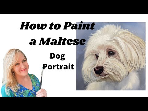 How to paint a Maltese Dog Portrait in Oils with Suzanne Barrett Justis