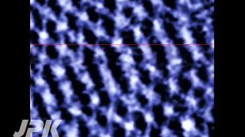 Atomic Force Microscopy - Fast scanning of soft DNA Origami