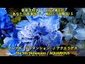 あなたに音楽を5    フィフス・ディメンション  /   アクエリアス     MUSIC FOR YOU 5    The 5th Dimension / AQUARIOUS
