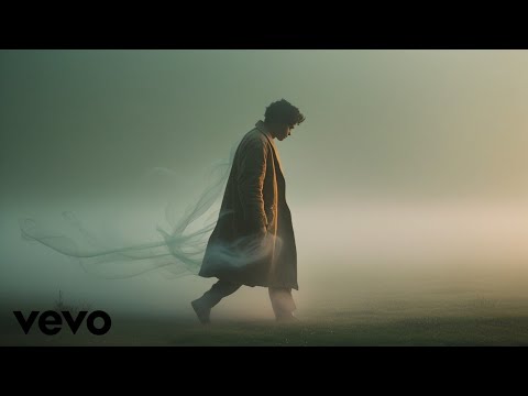 LOOKISM FLY UP RAKU COVER ENGLISH VERSION