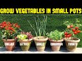 Vegetables You Can Grow In Small Pots | Small Space Gardening