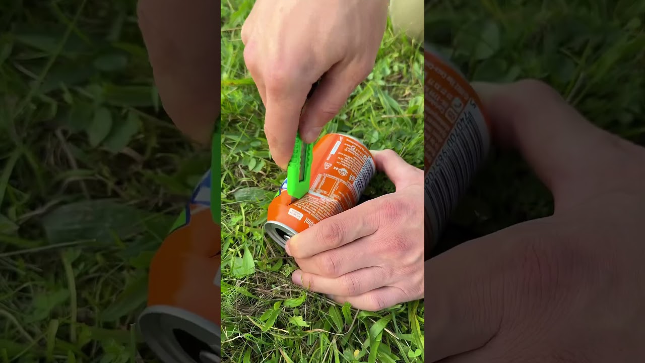 Forest Skills 🌳💦