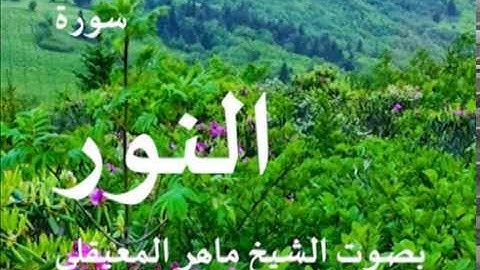 سورة النور بصوت الشيخ / ماهر المعيقلي 24