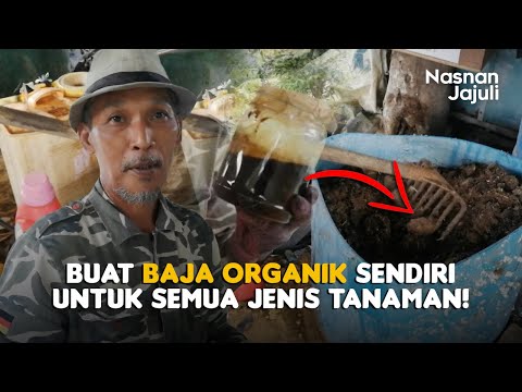 Video: Berbeza Jenis Najis Haiwan: Kebaikan Dan Keburukan Menggunakan Baja Sebagai Baja