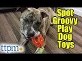 Spot Groovy Play Dog Toys from Ethical Products