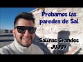 Probamos las paredes de Sal - Salinas Grandes - JUJUY