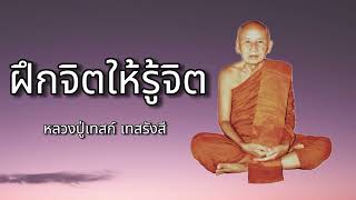 Practice your mind (mindfulness) - Phra Ajahn Thate Desaransi