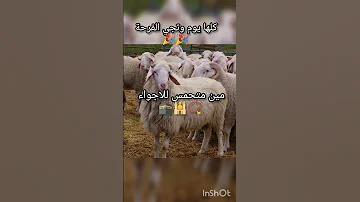 ثاني عيد نكون مع بعض مين متحمس بحبكم عيد سعيد اشتركوا واعطيكم خروف 